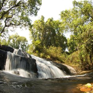 Dal Malawi