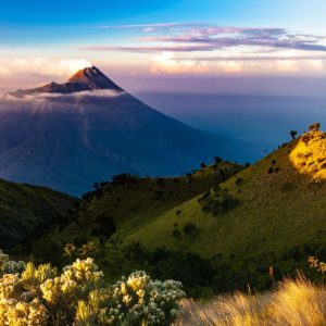 Dall'Indonesia