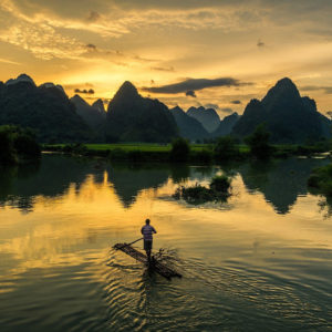 Dal Vietnam