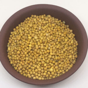 Senape Gialla