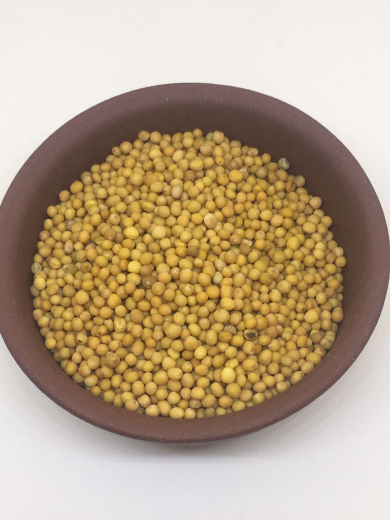 Senape Gialla