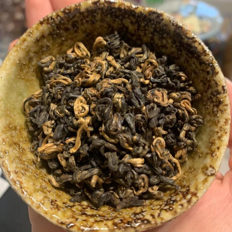 Black Golden Snail 1st Grade BIO