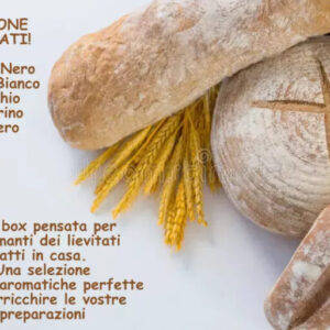Box Passione Lievitati