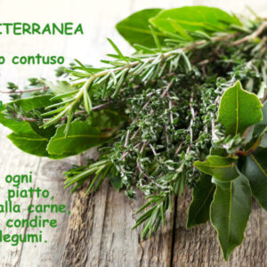 Box Mediterranea