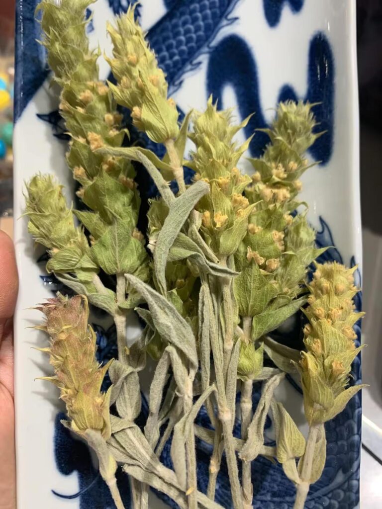 Tè Greco di Montagna Bio