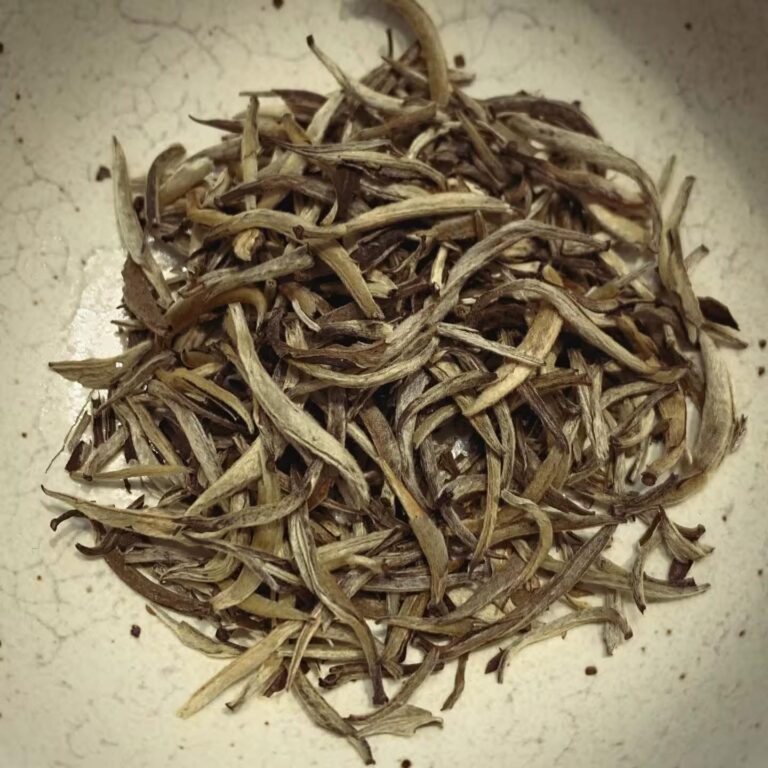 Jasmine Yin Zhen - Jasmin Silverneedle